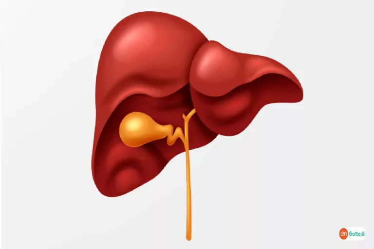 How to Maintain a Healthy Liver?