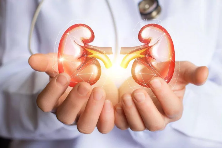 How to Maintain Kidney Health?