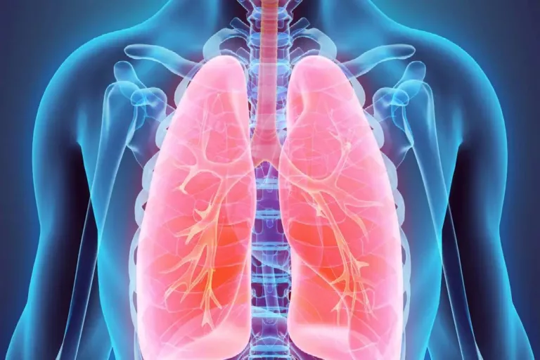 How to Maintain Healthy Lungs?