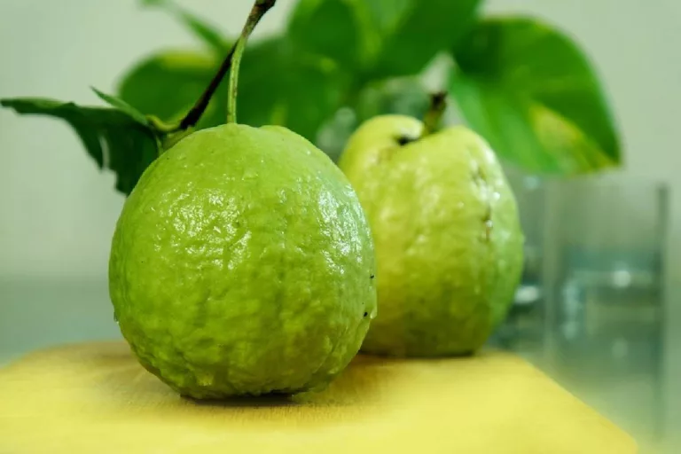 Health Benefits of Drinking Guava Juice